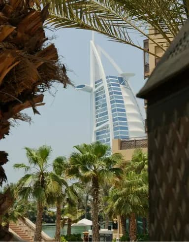 Palm shadows on wall